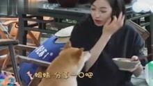 吃瓜网娱乐八卦视频
